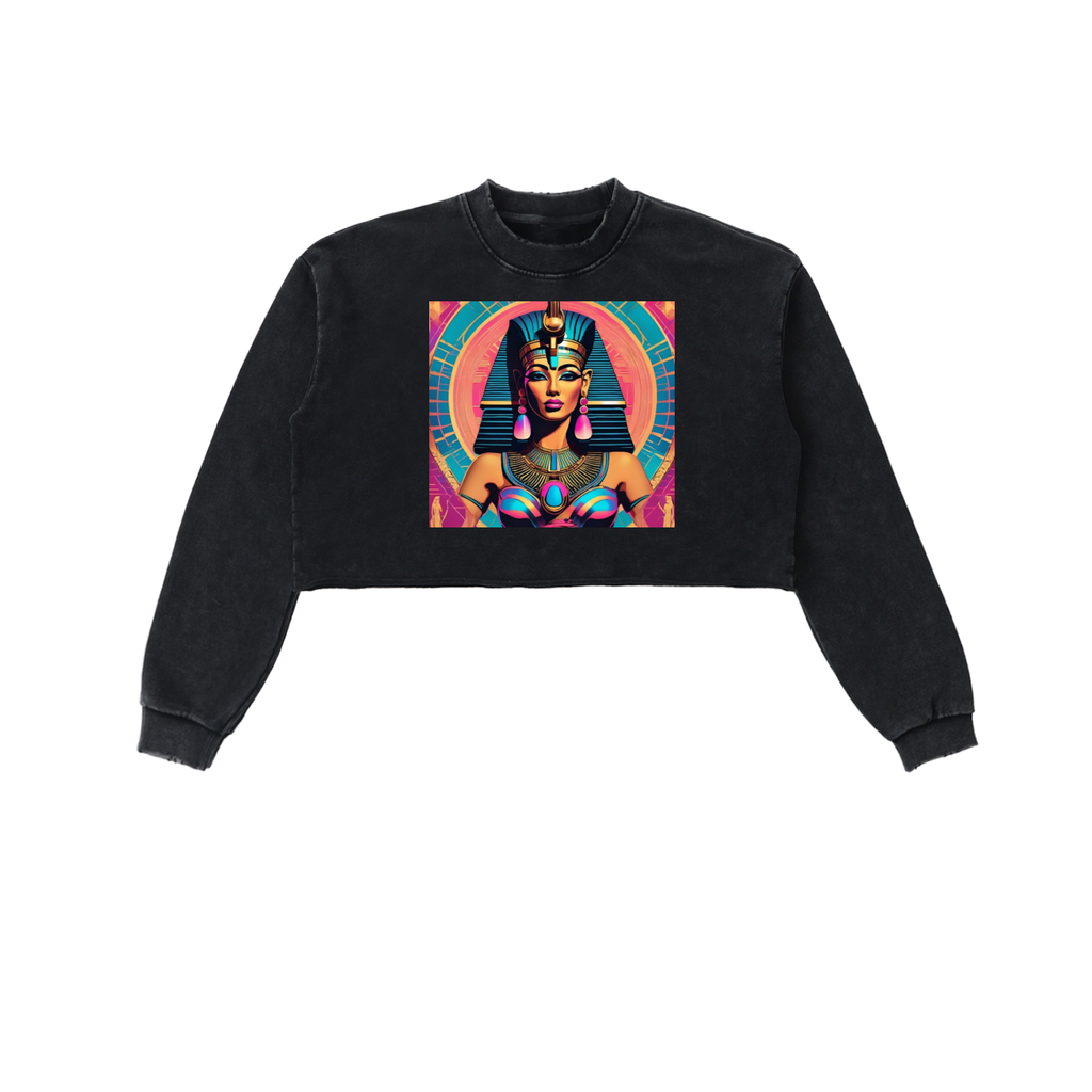 Snow Washed Raw Edge Cropped Sweatshirt